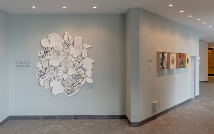 Installation view of Words Create Worlds